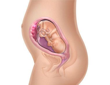 Imagem ilustrativa 