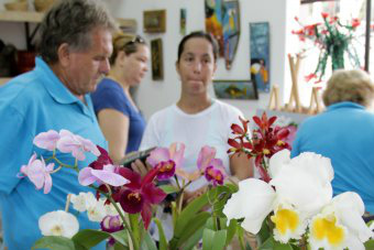 Exposição de Orquídeas (Foto: Assessoria)
