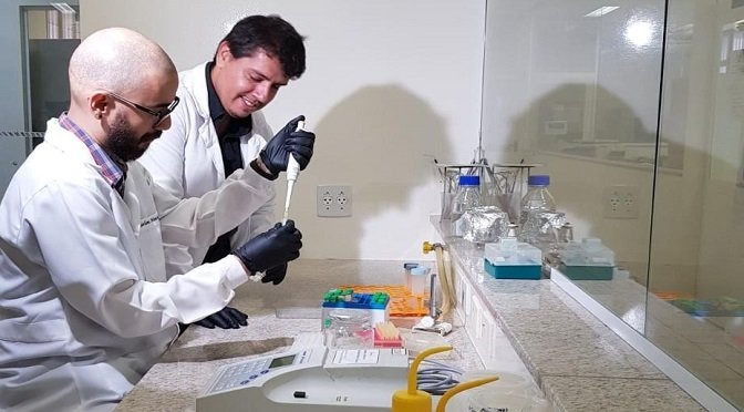 Estão sendo elaboradas proteínas sintéticas que estão sendo produzidas a partir das informações do genoma de vespas, jararacas e cascavéis. Foto: Midiamax - UCDB