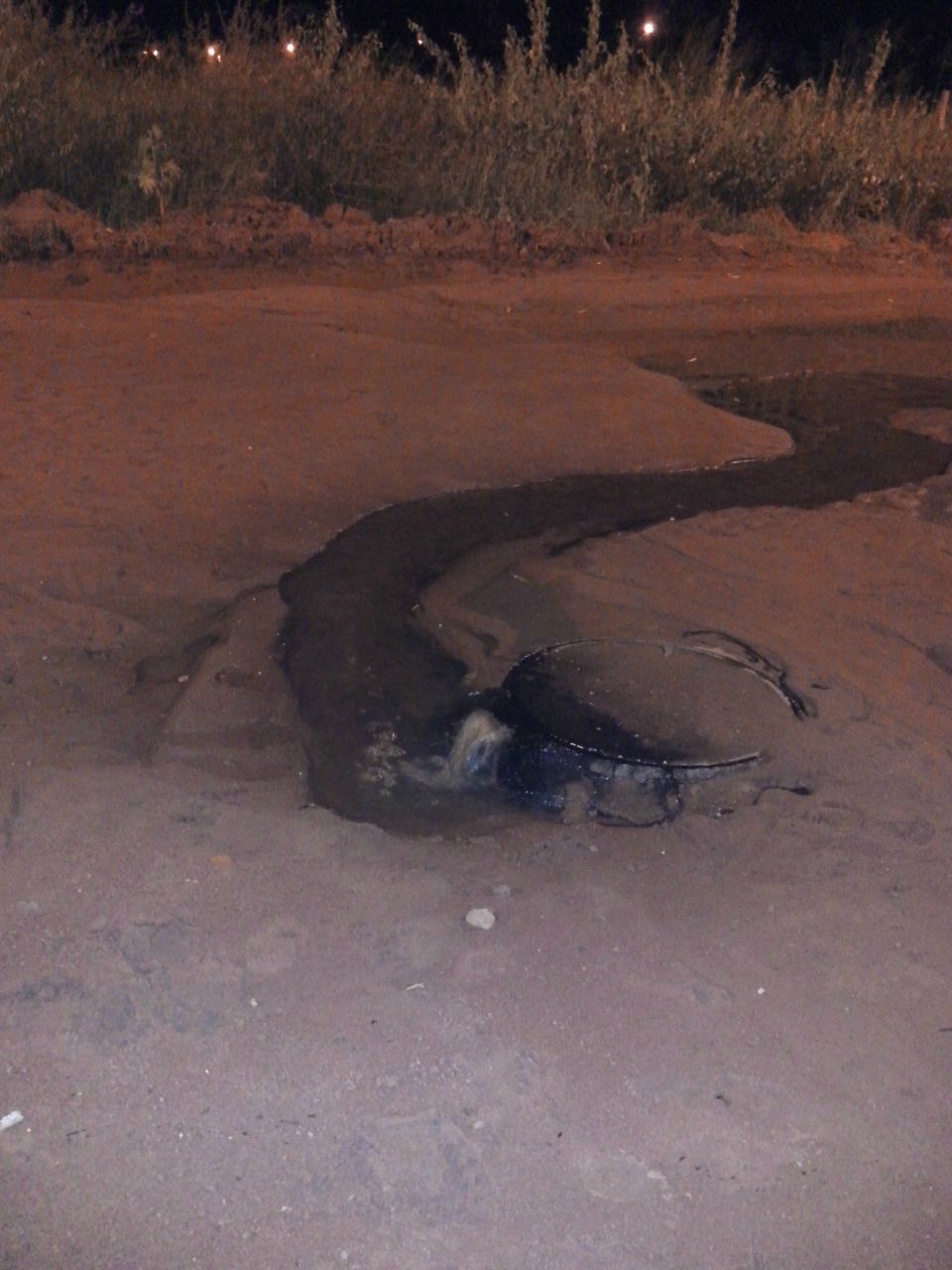 Enviada por internauta 