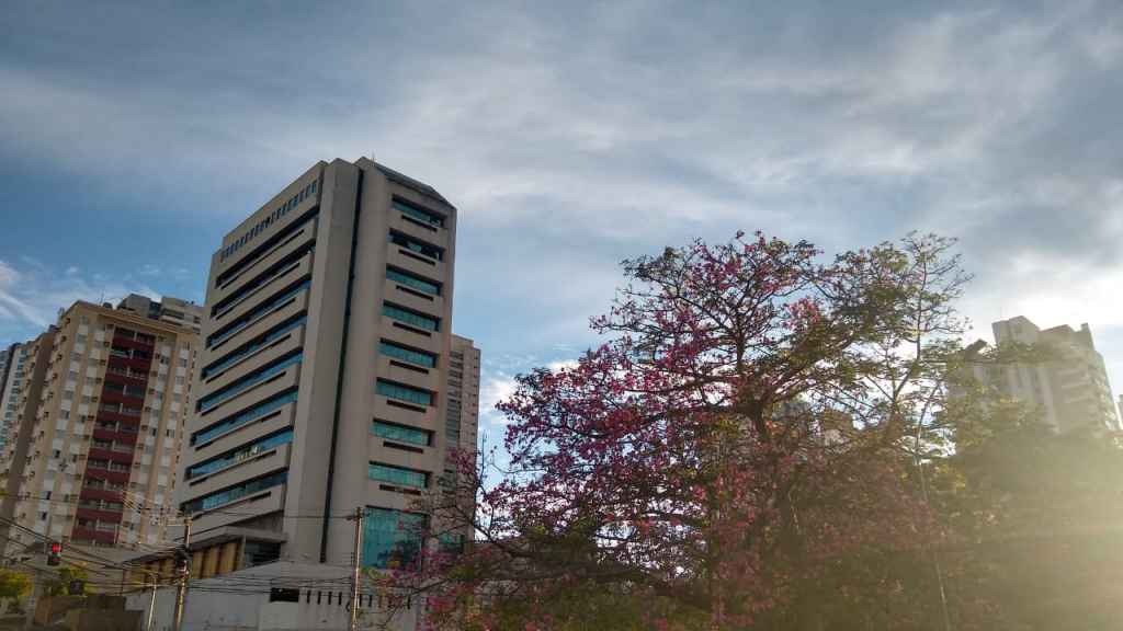 (Ana Paula Chuva | Jornal Midiamax)