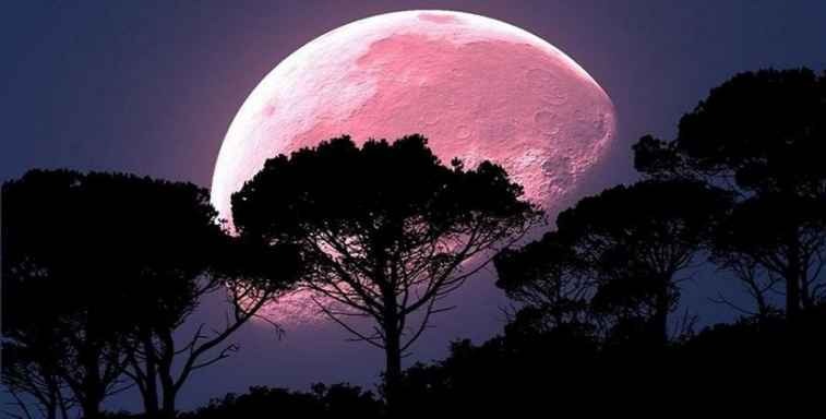 A lua cheia chegou ontem, terça-feira (7) e poderá ser apreciado, na noite de hoje em seu ápice com uma super lua rosa se estendendo até a noite desta quinta-feira. Foto: Midia Max