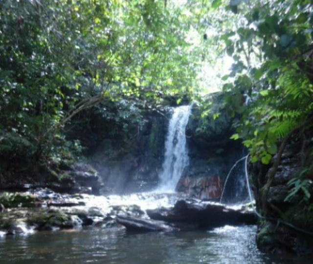 (Fotos: Divulgação/ Gabinete do vereador)