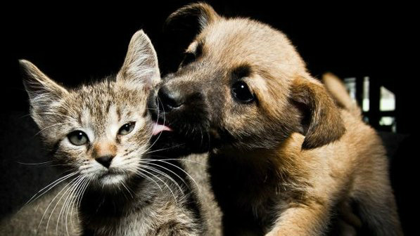 Foto: Thinkstock
