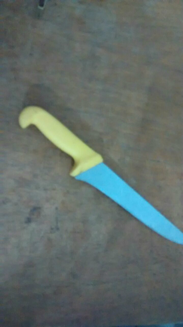 Arma utilizada nos crimes