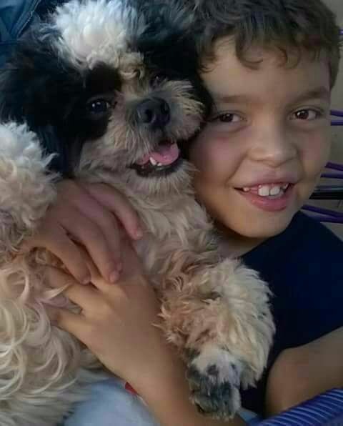 O menino Paulo ficou extremamente feliz em ter o amigo de volta. Foto: Reprodução Facebook.