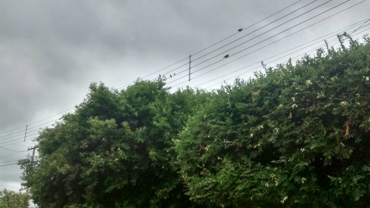 Um dos motivos da falta de energia em alguns locais, seria um curto circuito que ocorreu, fazendo com que a energia elétrica fosse interrompida. Foto: Rádio Caçula