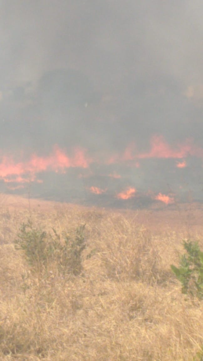Foto: Corpo de Bombeiros.