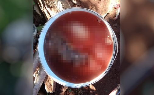 Foto: Divulgação PMMS.