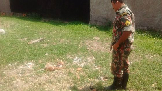 Faca foi encontrada perto dos restos do cão - Foto: Divulgação / PMA