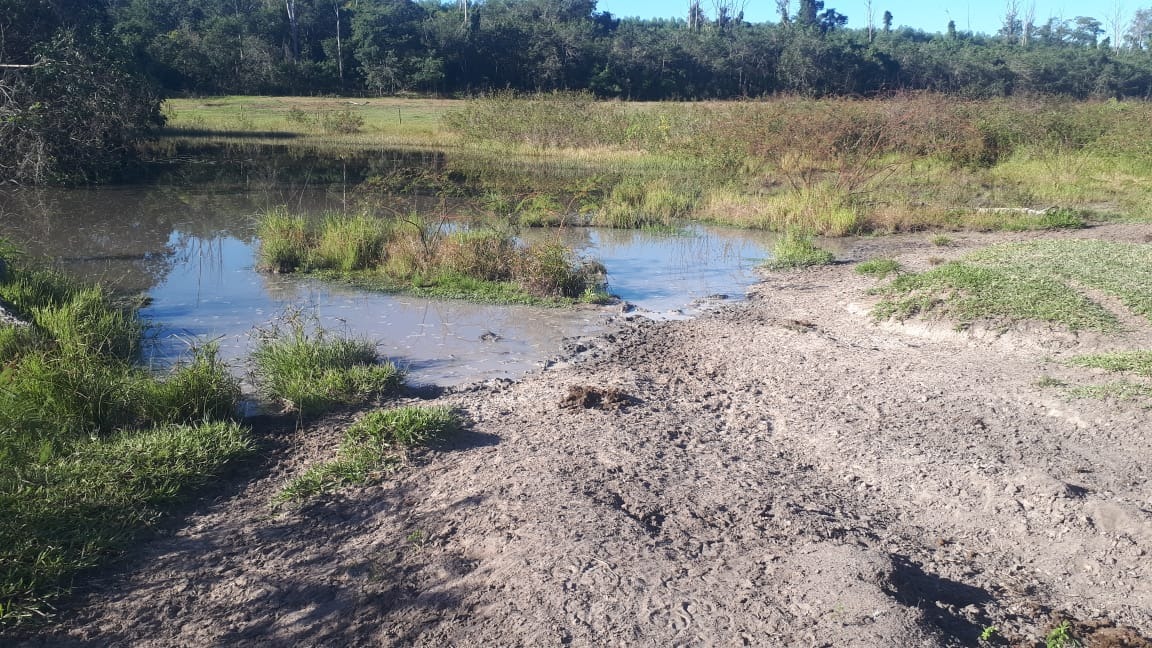 Durante fiscalização em uma fazenda, localizada no município, Policiais Militares Ambientais de Três Lagoas autuaram ontem (6) uma proprietária rural por degradação de matas ciliares e nascentes. Foto: PMA/MS