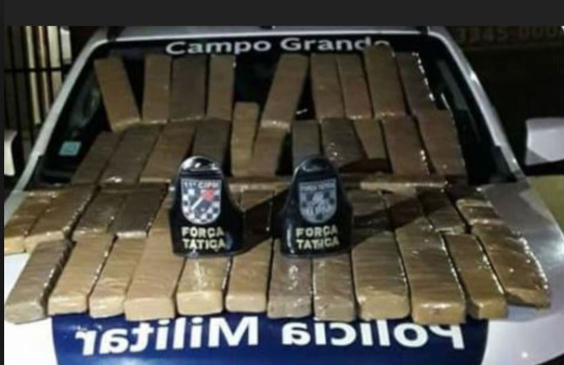 Foto: Divulgação Polícia Militar de Campo Grande