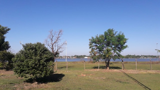 O sol surge em um céu com poucas nuvens pela manhã de hoje (11) em Três Lagoas (MS).