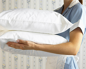 A Câmara dos Deputados aprovou, há pouco, o projeto de lei complementar que regulamenta os direitos e deveres do empregado doméstico. Foto: Divulgação