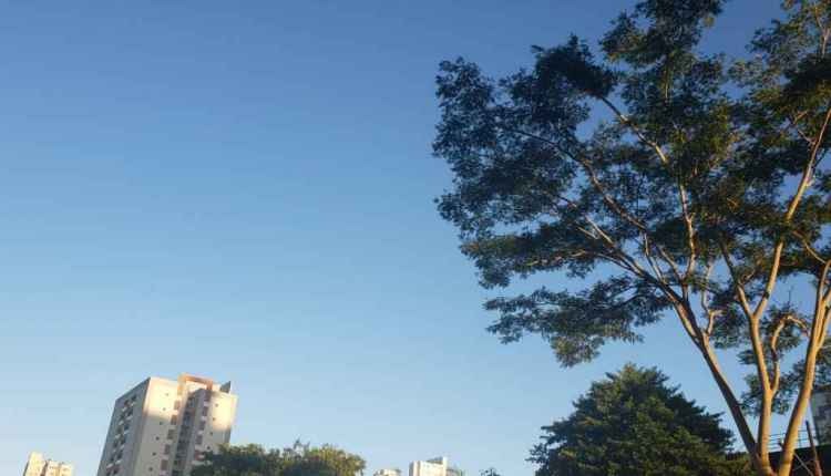 (Ana Paula Chuva | Jornal Midiamax)