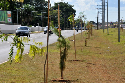 Foto: Correio do Estado