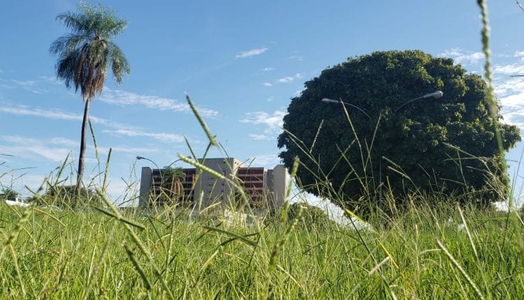 Mato toma conta do entorno e já esconde HRMS. (Foto: Marcos Ermínio, Midiamax)