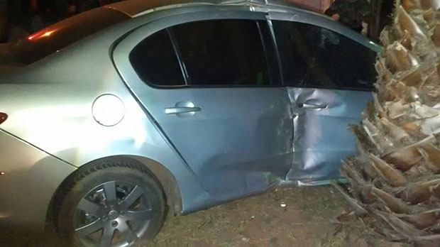 O autor acabou batendo em uma árvore após a tentativa de roubo. Foto: Minuto MS