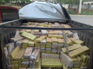 Maconha apreendida. Foto: Divulgação