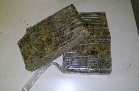 Foto: Divulgação Internet/ Ilustração