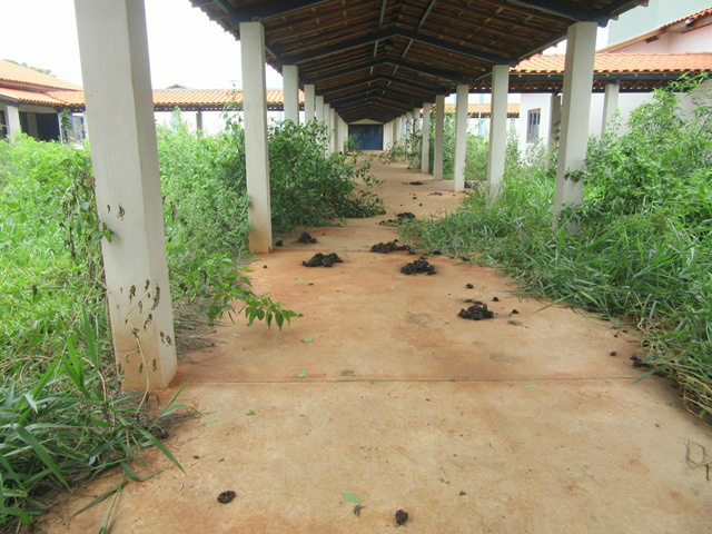 Foto: Rádio Caçula