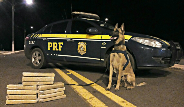 O animal localizou a droga que estava na bagagem de um menor de 16 anos - Foto: Divulgação/PRF