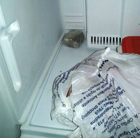 Substância análoga a maconha encontrada no congelador da casa de Corumbá.