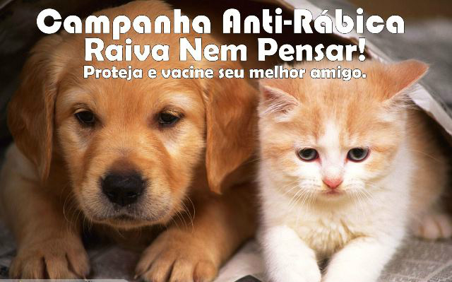 Foto: Assessoria