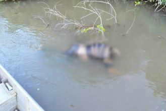 Meramente ilustrativa. Foto: Divulgação