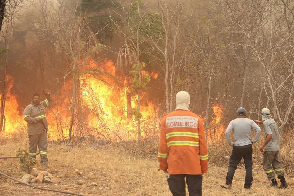 Bombeiros e brigadistas na região da Serra do Amolar, no Pantanal de MS. Foto: Governo de MS/Divulgação