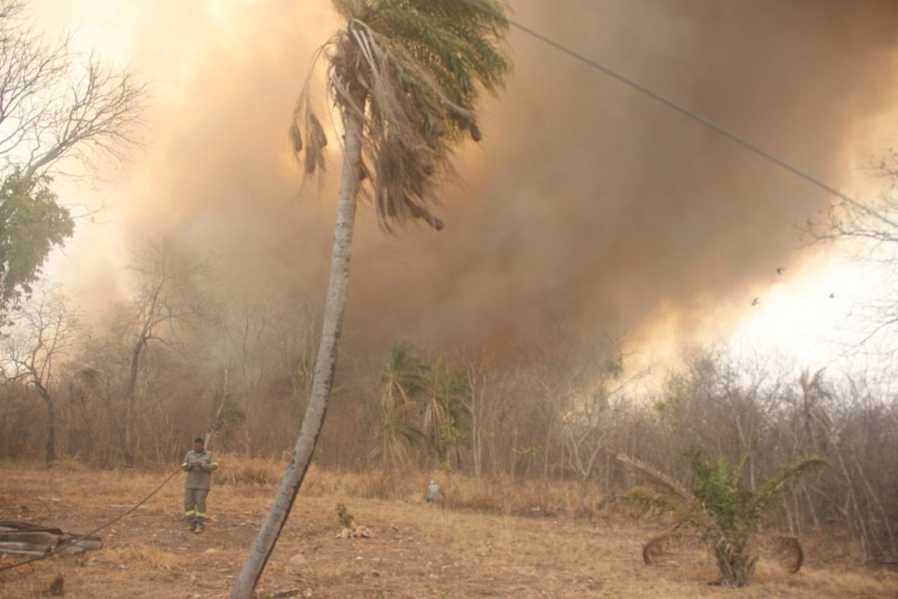 Nuvem de fumaça e tempo seco prejudicam trabalhos de membros da força-tarefa, no Pantanal de MS. Foto: Governo de MS/Divulgação