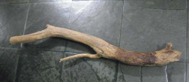 Pedaços de madeira teriam sido usados para golpear a vítima - Divulgação Polícia Civil