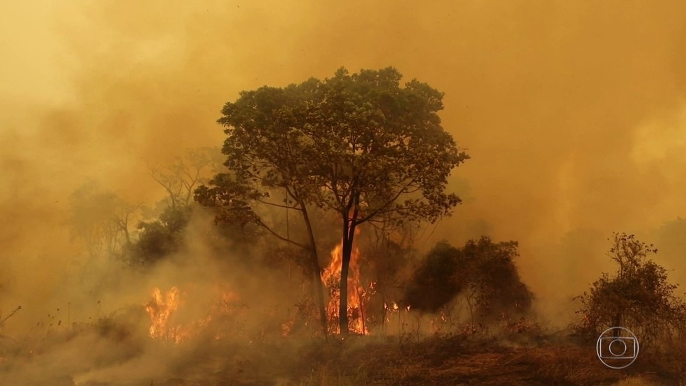 Incêndio no Pantanal. Foto: JN