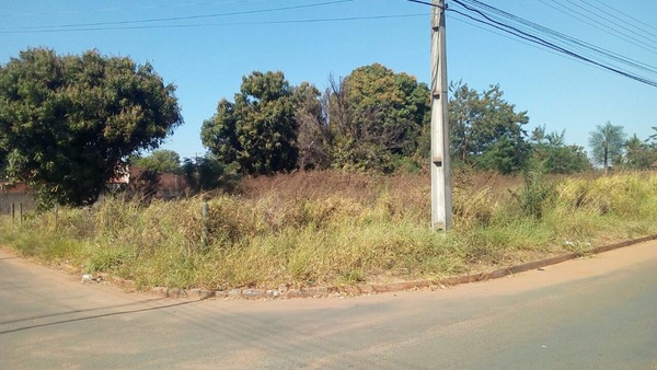 Matagal consumiu todo o local