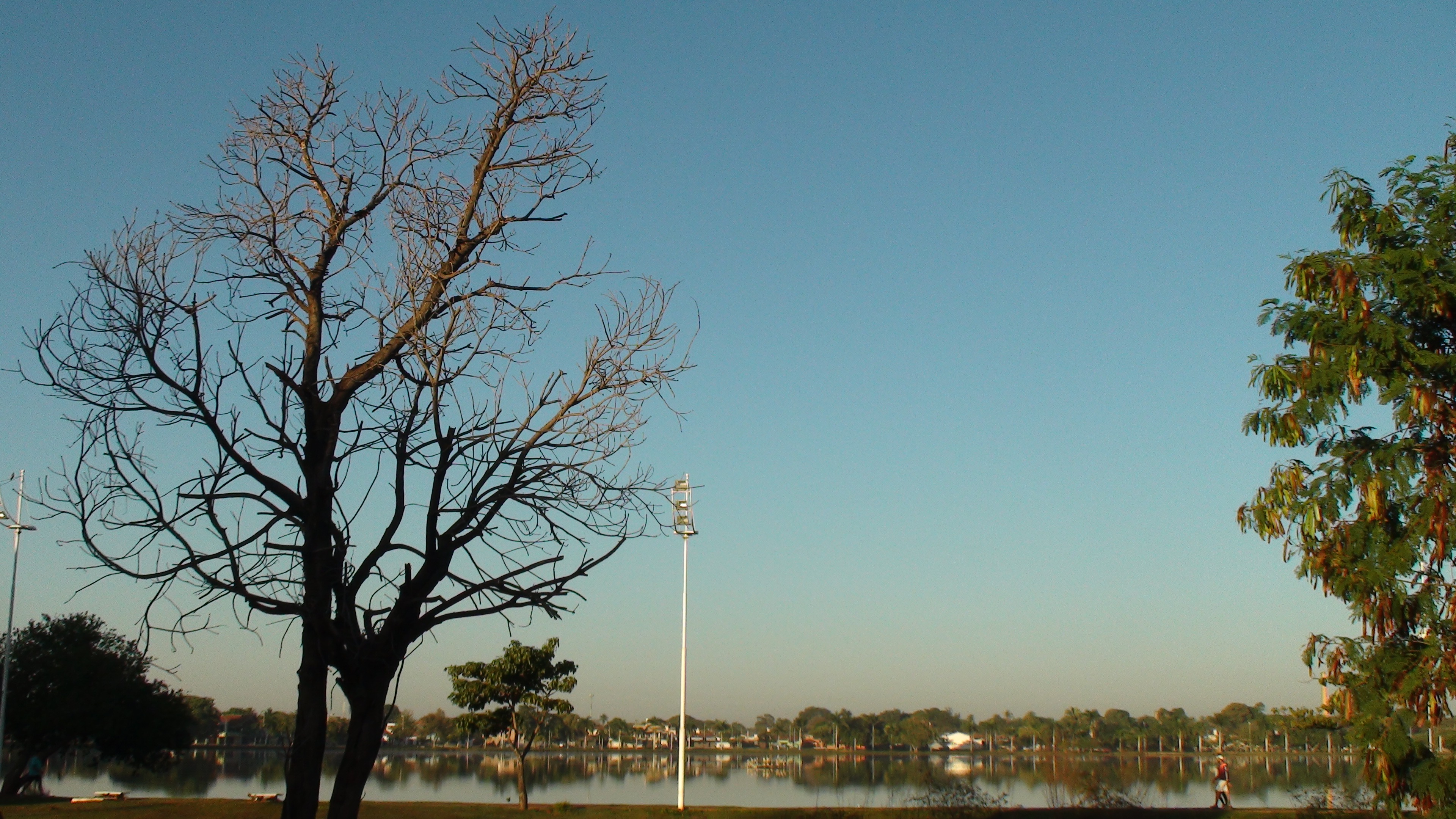 Manhã de sol e de fim de nevoeiro hoje (24), na Lagoa Maior de Três Lagoas (MS). Foto: Rafael Douglas/Rádio Caçula