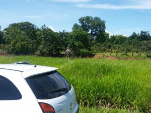 Local onde foi encontrado o animal e carro do autor (Foto: Divulgação/PMA)