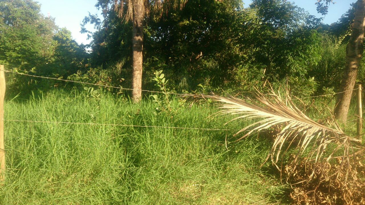 Foto enviada por internauta 