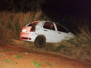 Carro saiu da pista após atingir anta; ocupantes saíram ilesos (Foto: Edição de Notícias)