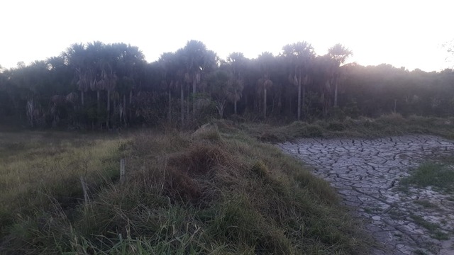 Área de  preservação permanente autuada por despejo irregular de rejeitos da mineração. Foto: 