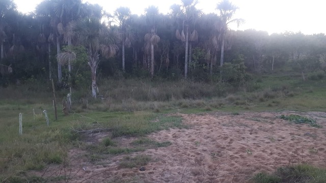 Área de  preservação permanente autuada pelo armazenamento irregular de parte da areia da mineração. Foto: PMMS