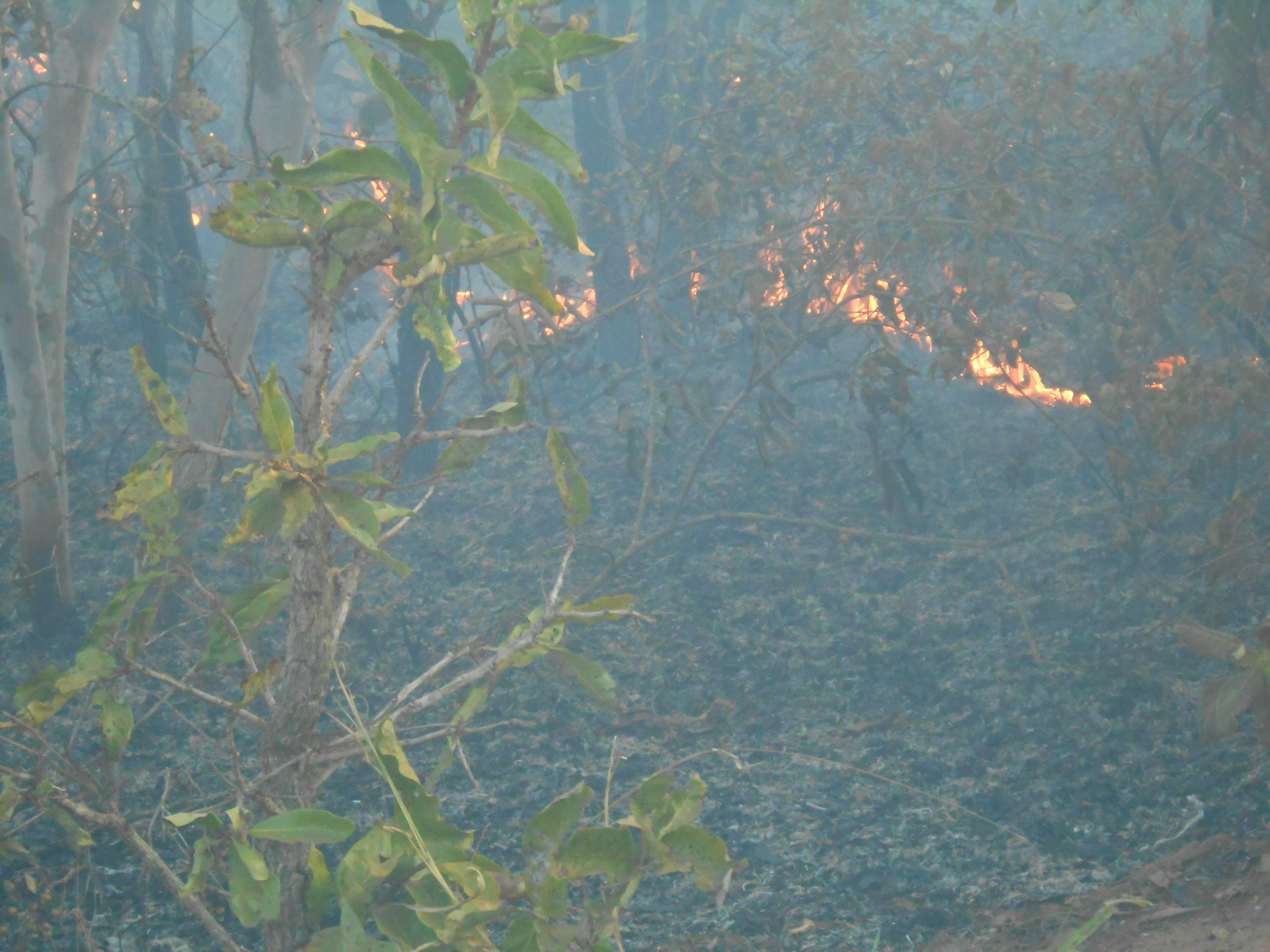 Foto: Rádio Caçula