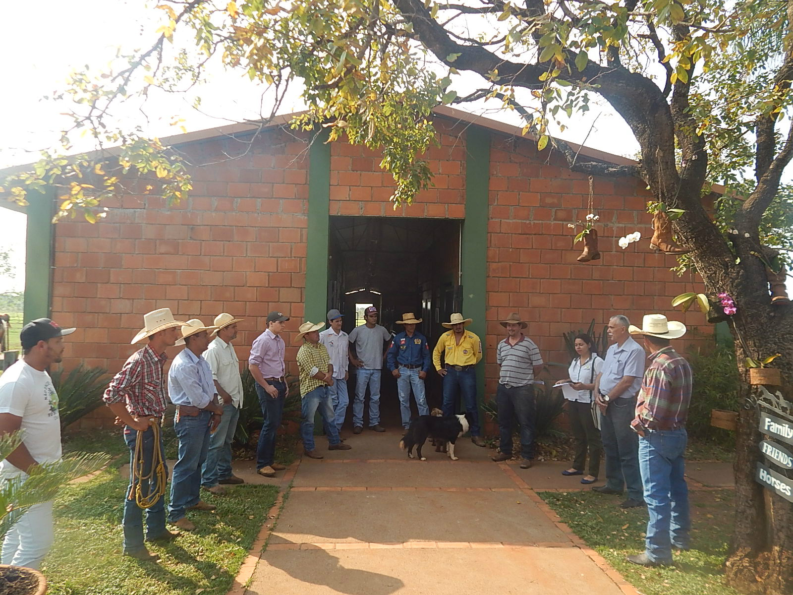  O objetivo do curso é “adestrar equinos, com uso de rédeas, utilizando as técnicas adequadas.