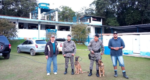 Os cães policiais Hassan e Saddan raça Pastor Belga de Malinois em treinamento no Canil Leal no município de Embu Guaçu- SP.