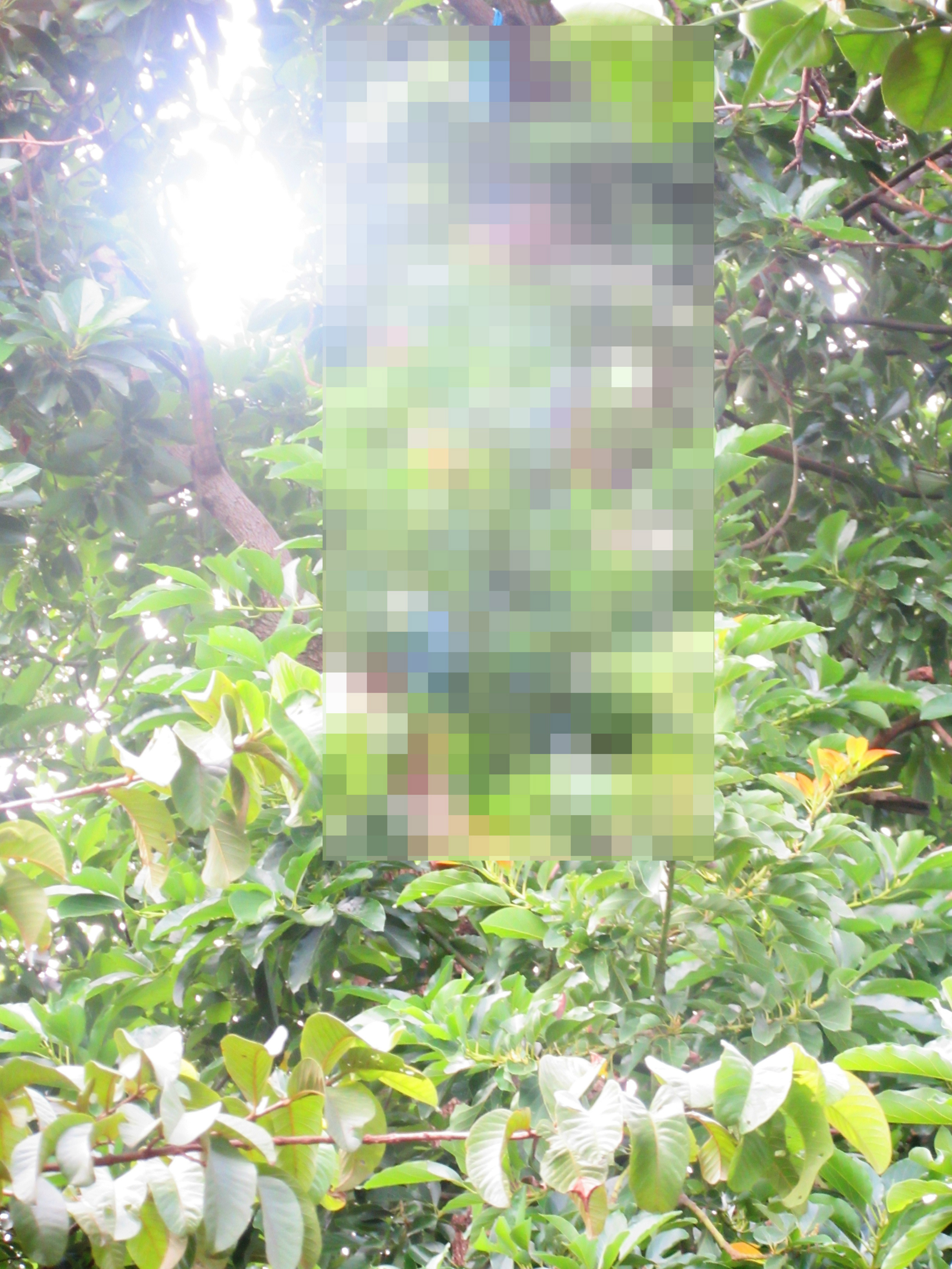 Homem de 36 anos acaba com a própria vida no Jd. Caçula em Três Lagoas (MS)