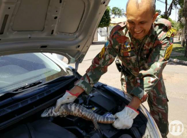 (Foto: Divulgação/PMA)