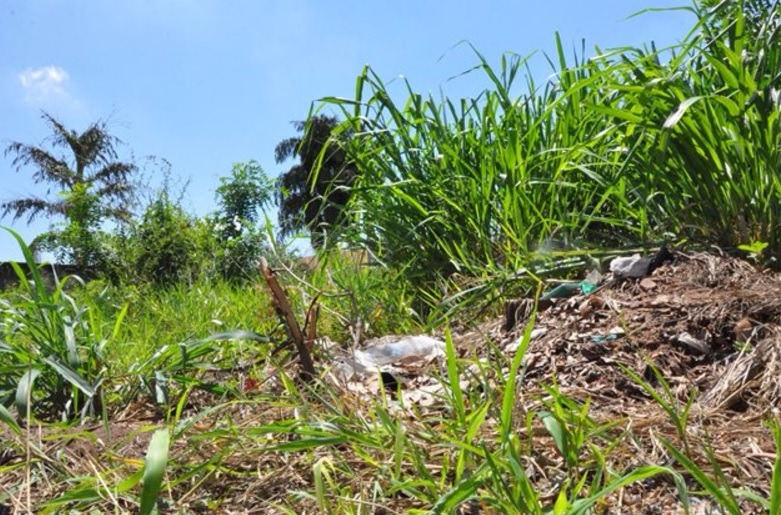 Donos de terrenos abandonados serão penalizados em nova lei. (Foto: Arquivo/Caçula FM)