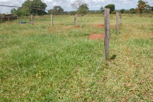 O menino tentou pular a cerca, para pegar água, quando foi eletrocutado (Foto: Simão Nogueira)