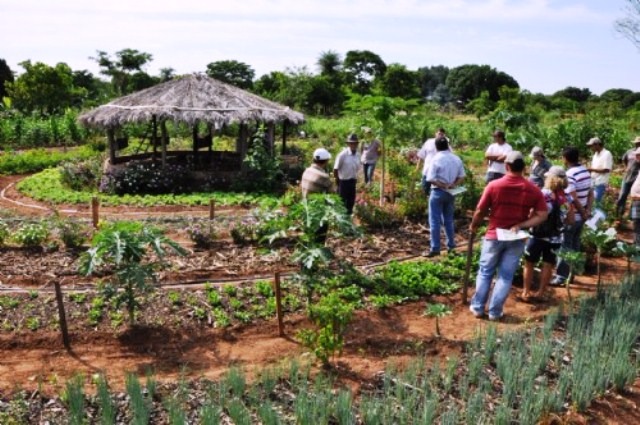 Ocupantes dos lotes foram recadastrados por agentes da prefeitura. (Foto: Divulgação/Prefeitura de Três Lagoas)