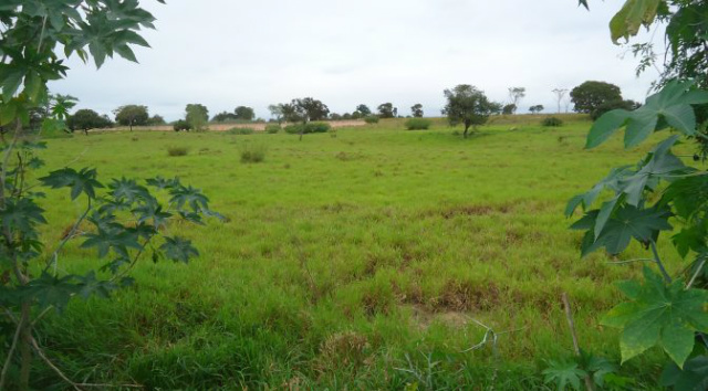 Terreno em Coxim - Foto: Divulgação