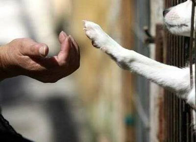 Foto de divulgação